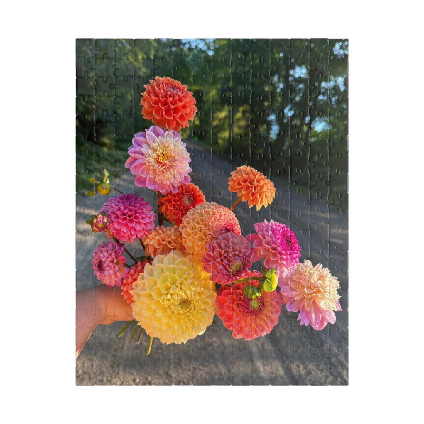 Dahlia Floral-themed Colorful Puzzle (110, 252, 520, 1014-piece) - Perfect for Relaxation and Family Bonding