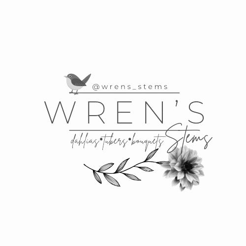 Wren's Stems