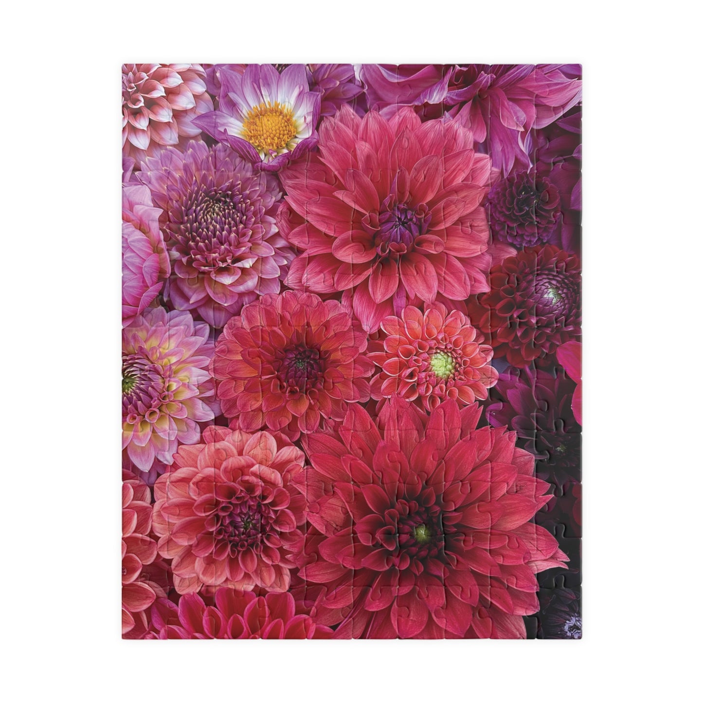 Dahlia Garden Flatlay Jigsaw Puzzle