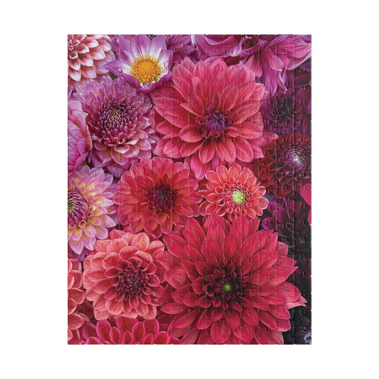 Dahlia Garden Flatlay Jigsaw Puzzle