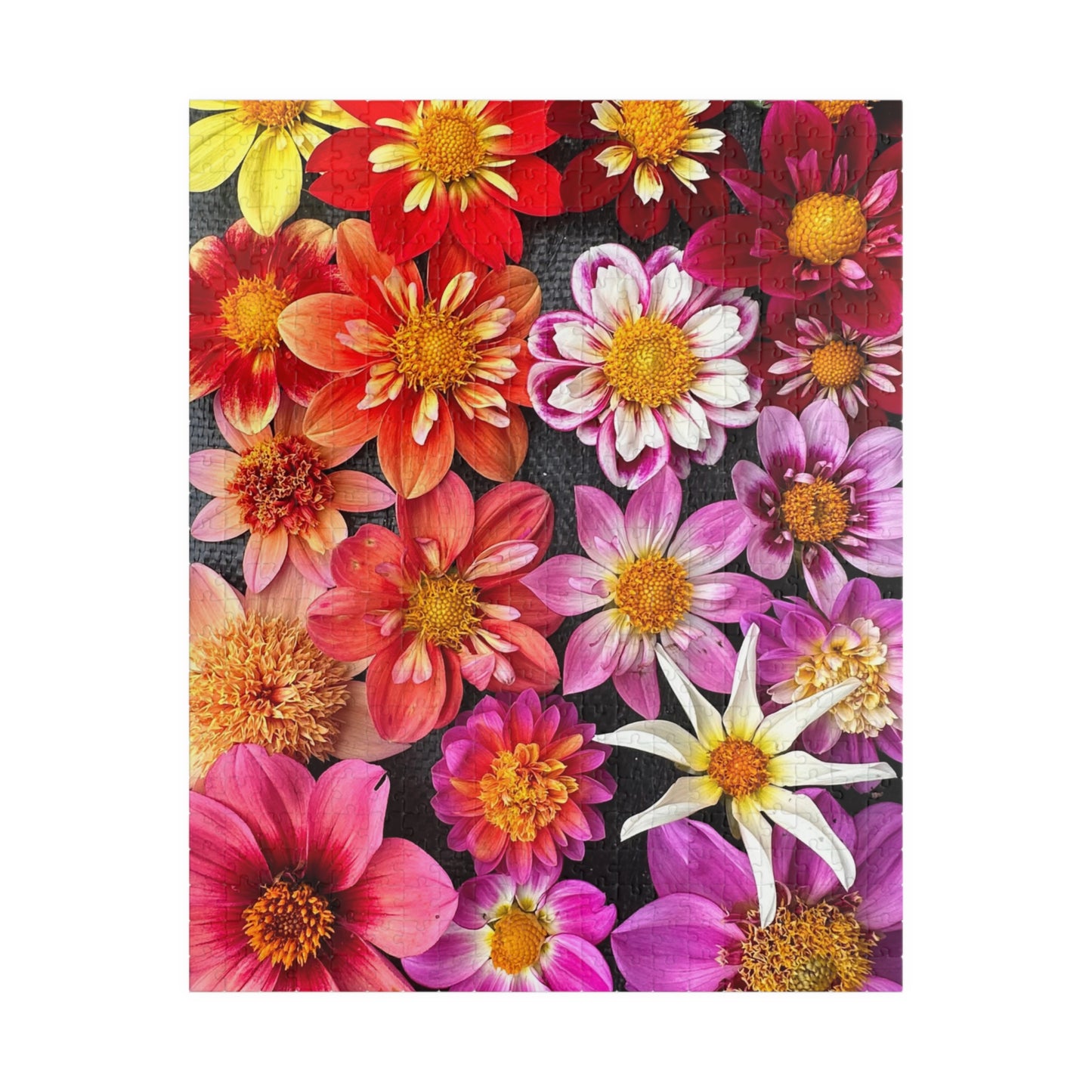 Floral Burst Jigsaw Puzzle — Colorful Dahlia Flatlay Collage, 110–520 Piece