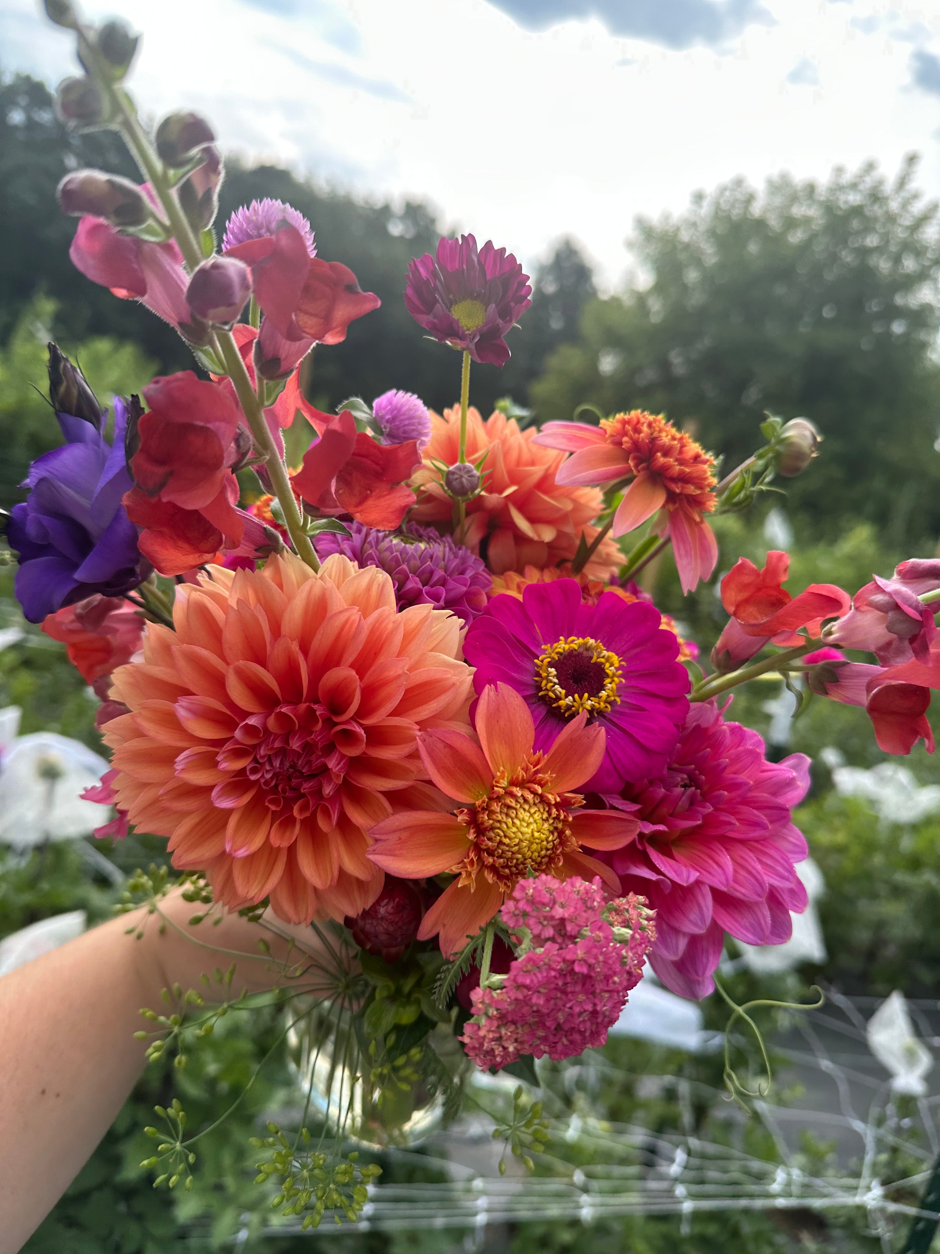 テディとスイカ&紫陽花のフォーチューンリース 2026 Dahlia Bouquet Subscriptions (AUGUST/SEPTEMBER) – Wren's Stems