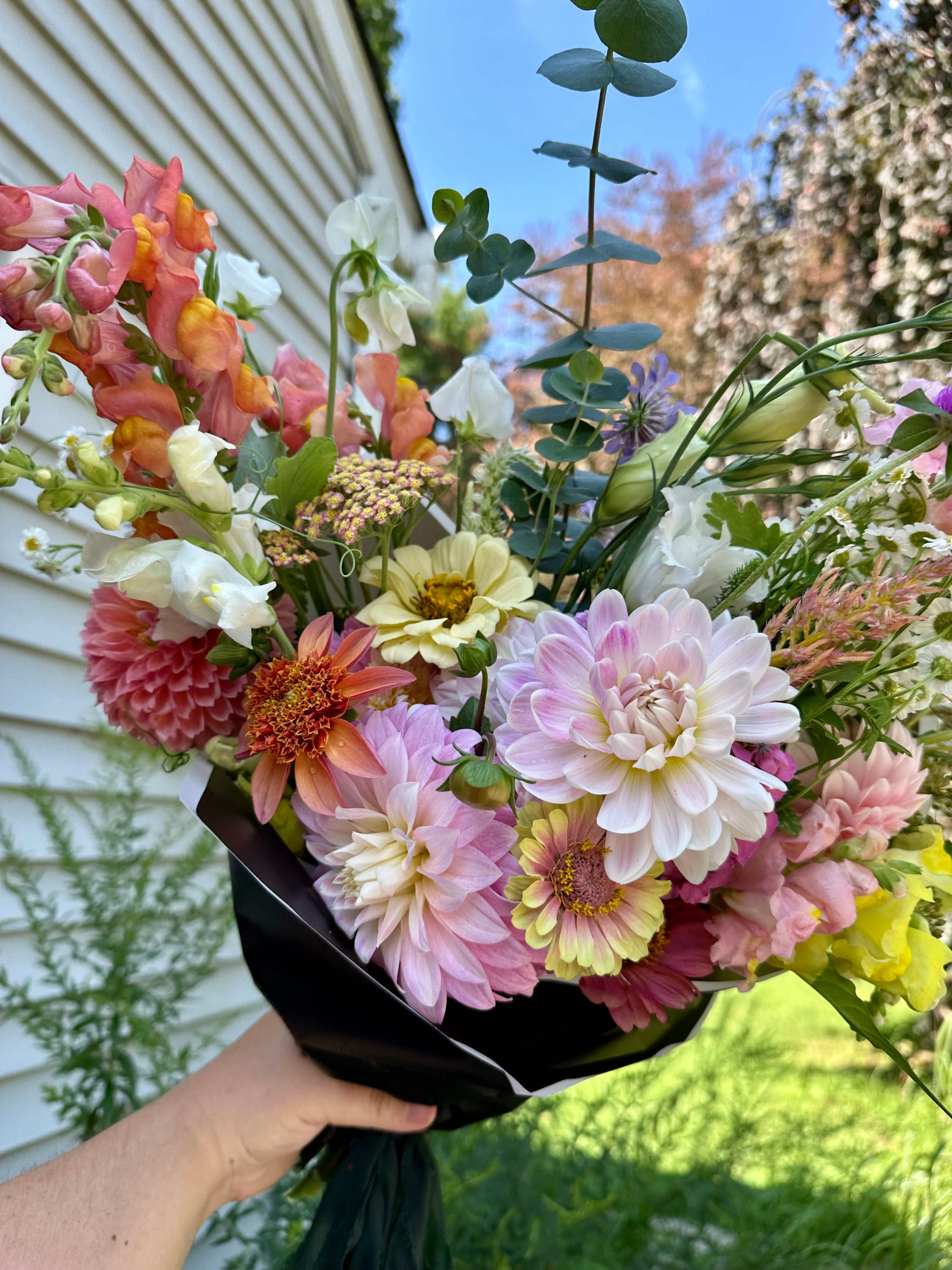 2026 Dahlia Bouquet Subscriptions (AUGUST/SEPTEMBER) – Wren's Stems